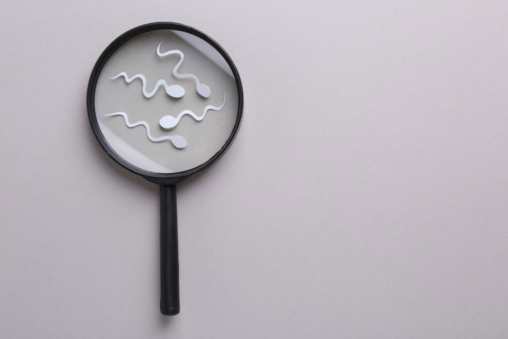 How Long Does it Take Sperm to Regenerate & Develop?